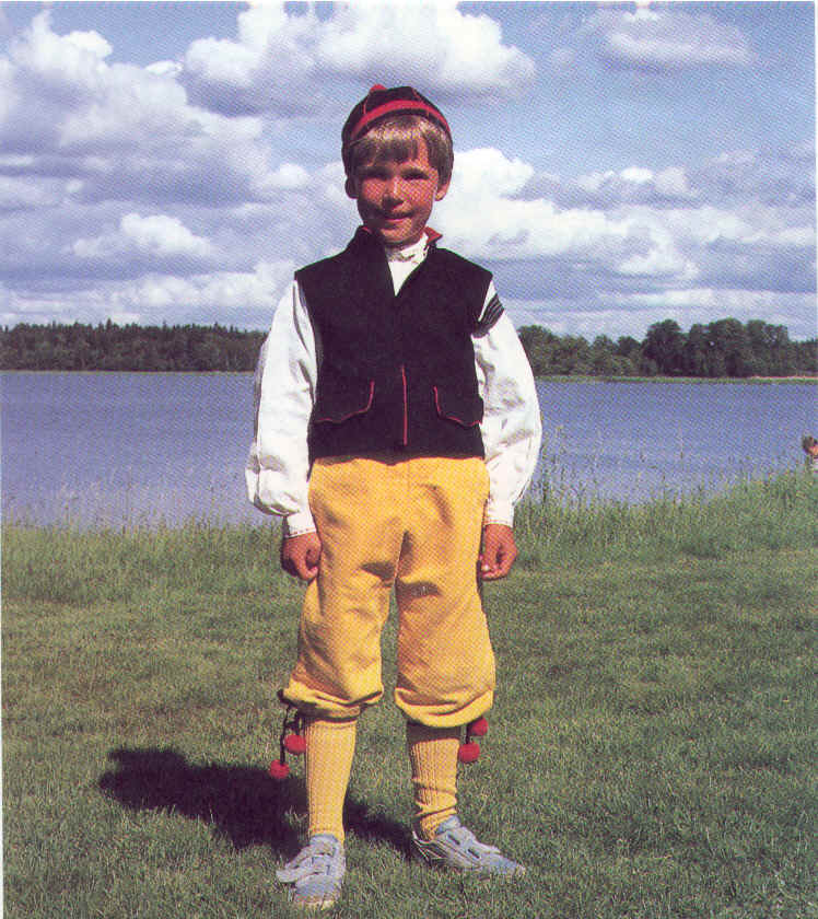 FAS OF SWE.jpg (1062812 bytes)